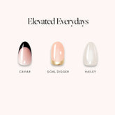 Elevated Everydays