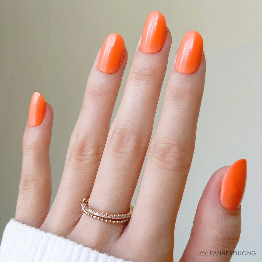 Apricot